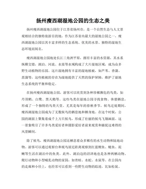 扬州瘦西湖湿地公园的生态之美