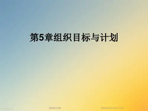 第5章组织目标与计划