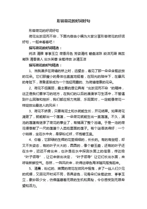 形容荷花的好词好句