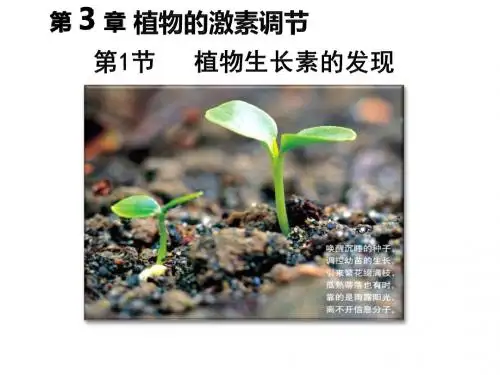 人教版高中生物必修三3.1《植物生长素的发现》课件(共19张PPT)
