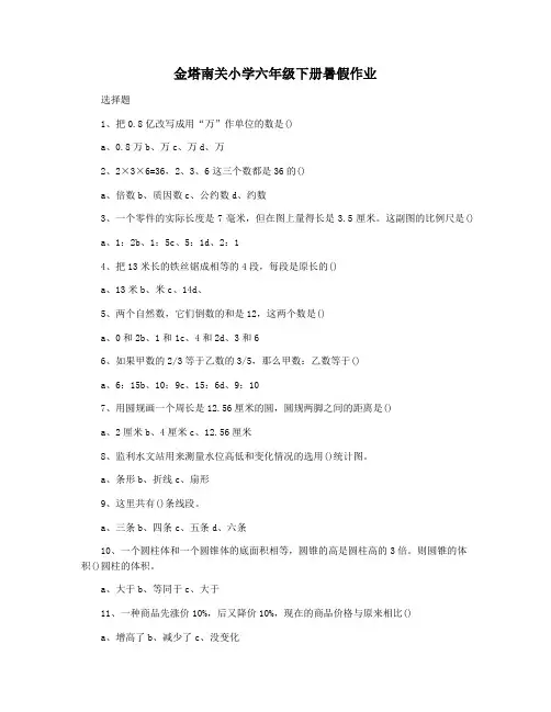 金塔南关小学六年级下册暑假作业