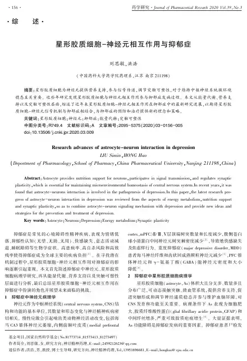 星形胶质细胞-神经元相互作用与抑郁症