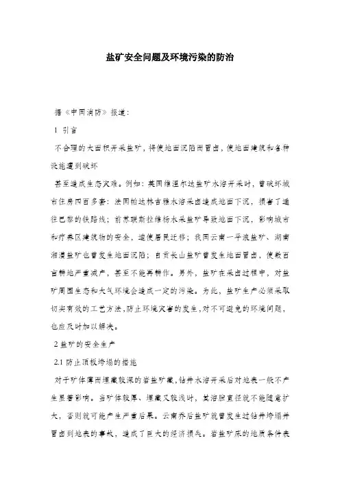 盐矿安全问题及环境污染的防治.docx