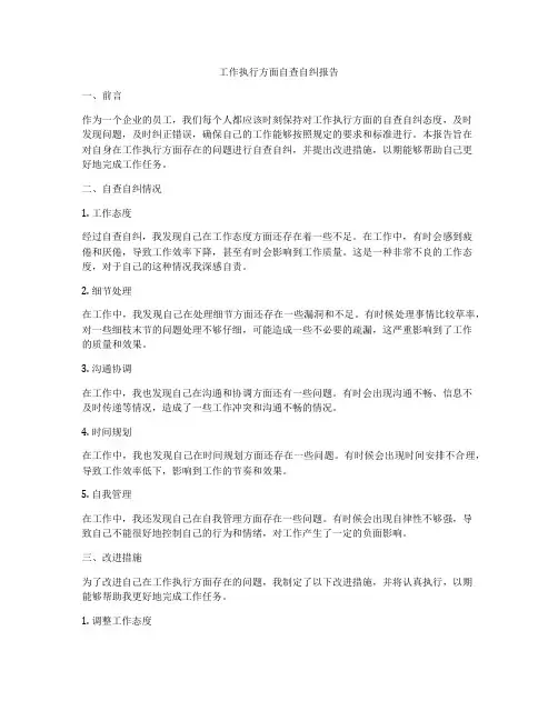 工作执行方面自查自纠报告