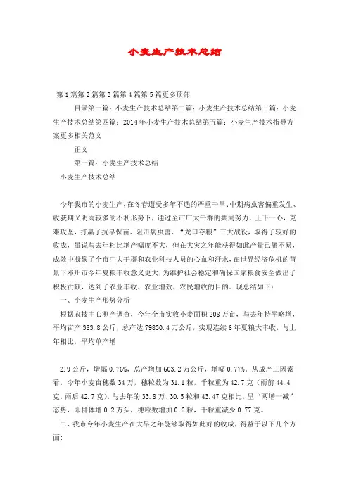 小麦生产技术总结.doc