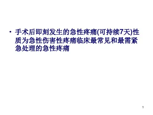 术后镇痛例总结PPT课件