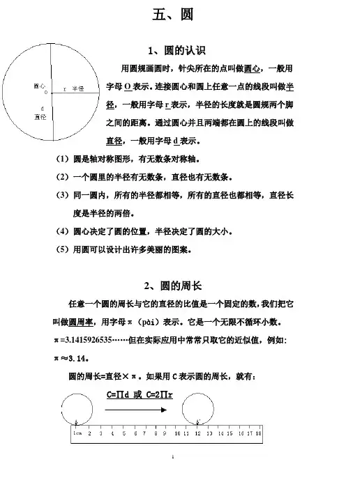 六上数学知识整理——圆和扇形统计图