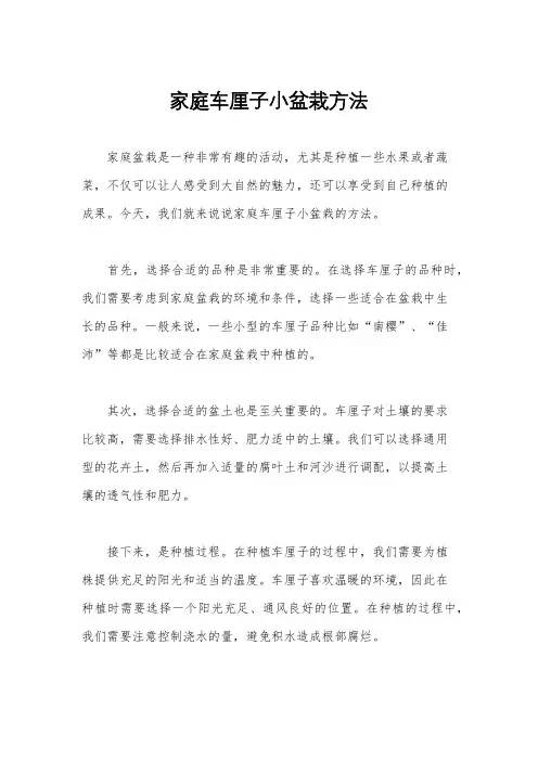 家庭车厘子小盆栽方法