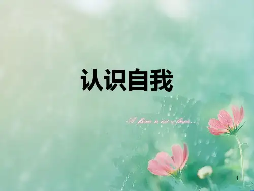中小学主题班会课件—认识自我