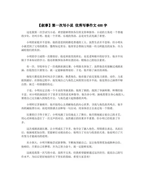 【叙事】第一次写小说 优秀写事作文400字