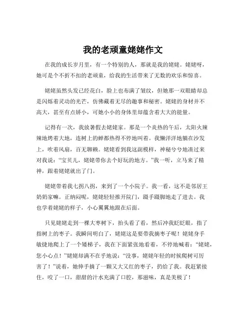我的老顽童姥姥作文