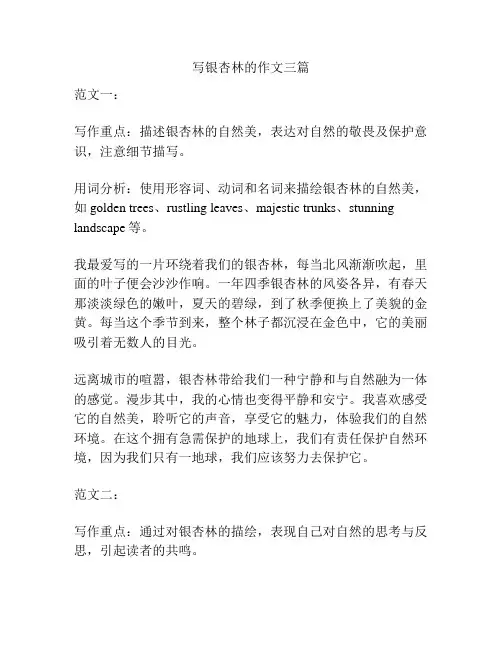 写银杏林的作文三篇