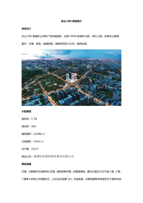乐山CBD项目简介