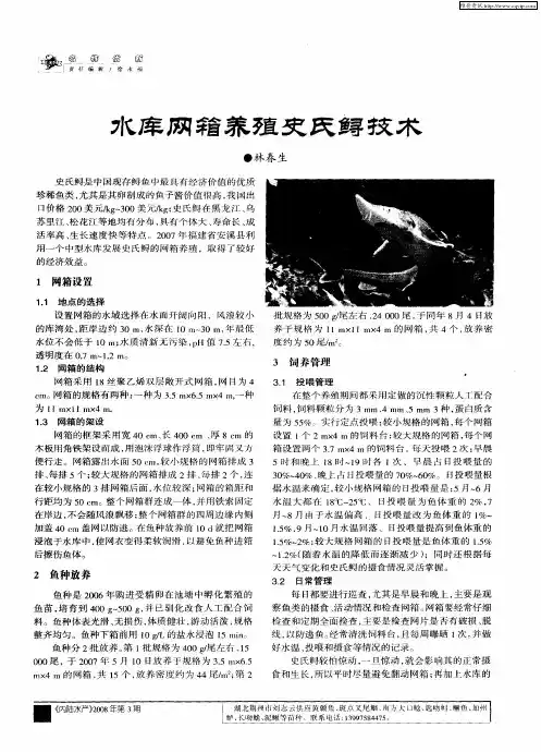 水库网箱养殖史氏鲟技术
