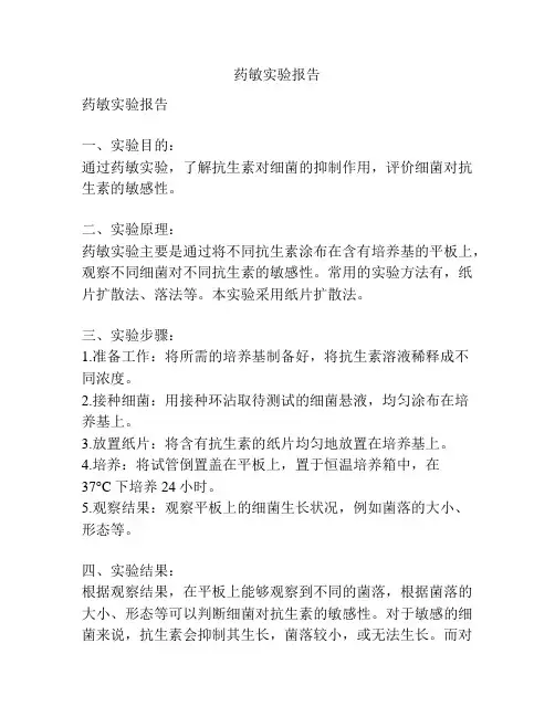 药敏实验报告