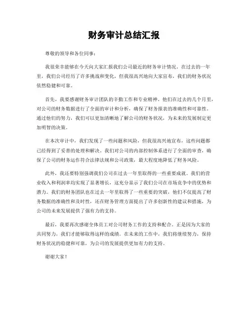 财务审计总结汇报