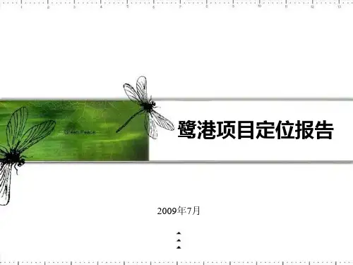 安徽滁州_鹭港别墅项目定位报告_93PPT_2009年7月