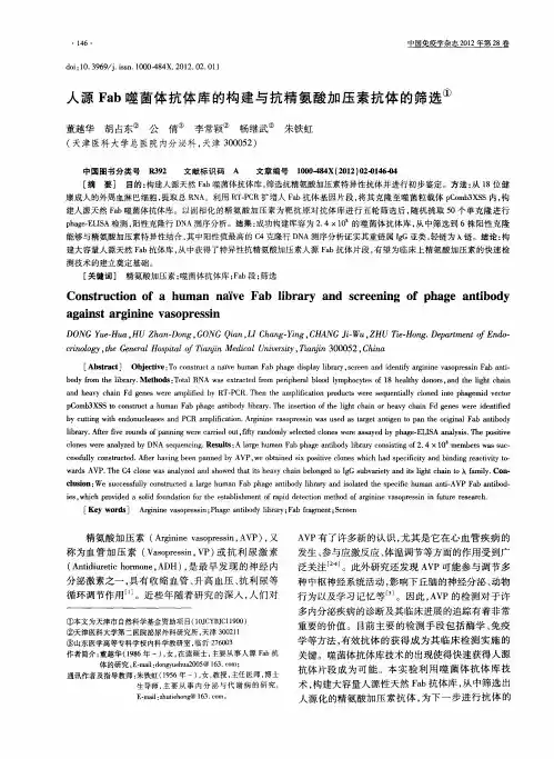 人源Fab噬菌体抗体库的构建与抗精氨酸加压素抗体的筛选