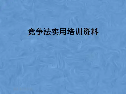 竞争法实用培训资料