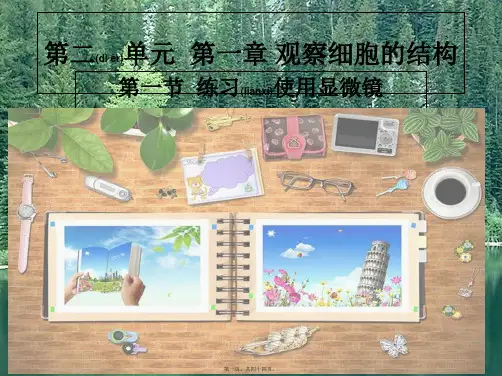七年级生物上册第二单元第一章第一节练习使用显微镜1