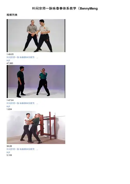 叶问宗师一脉咏春拳体系教学（BennyMeng