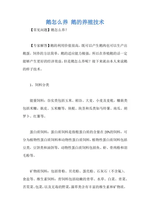 鹅怎么养 鹅的养殖技术