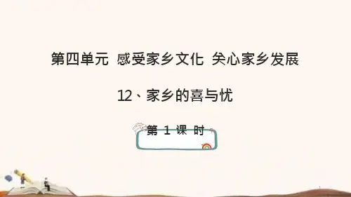 统编版四年级下册道德与法治12、家乡的喜与忧-ppt课件