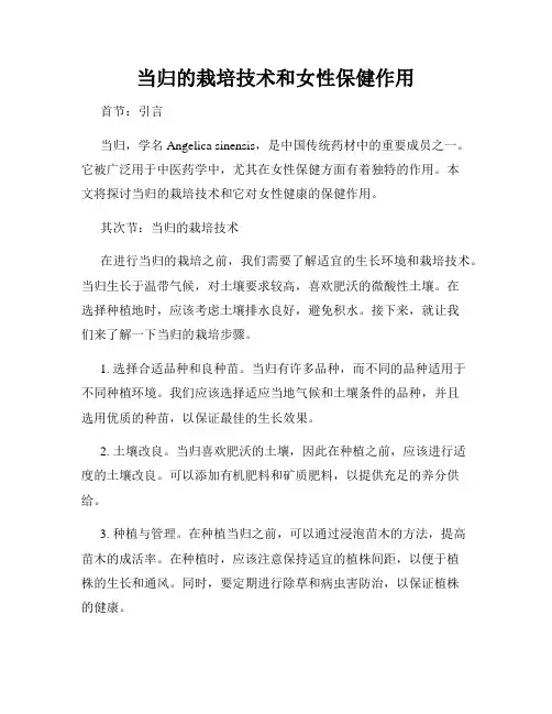 当归的栽培技术和女性保健作用