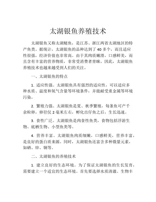 太湖银鱼养殖技术