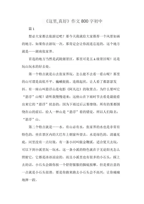 《这里,真好》作文800字初中