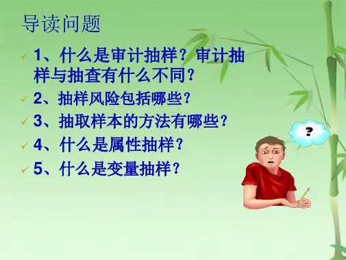 第9审计抽样(共30张PPT)