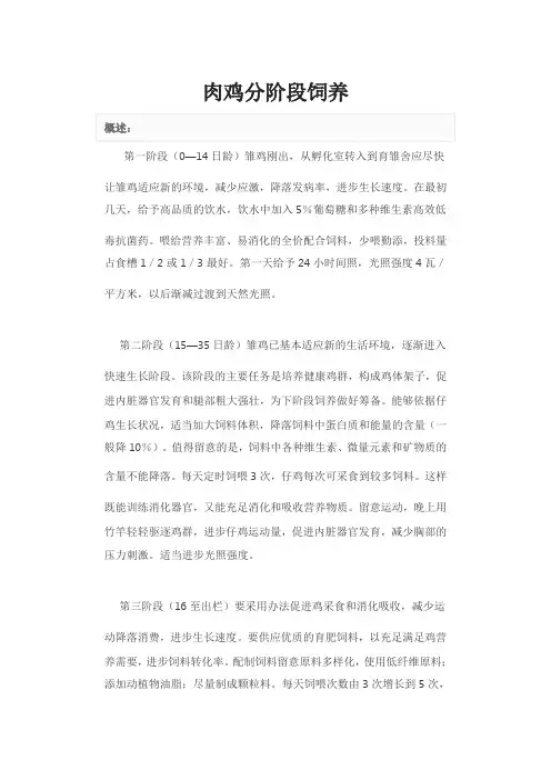 肉鸡分阶段饲养