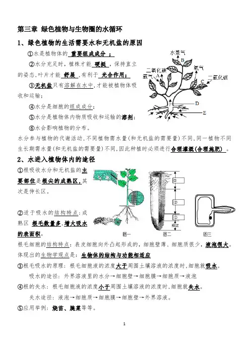 鲁科版生物六年级下册第三章绿色植物与生物圈的水循环知识点汇总