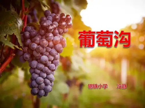 人教部编版《葡萄沟》公开课课件(32PPT)