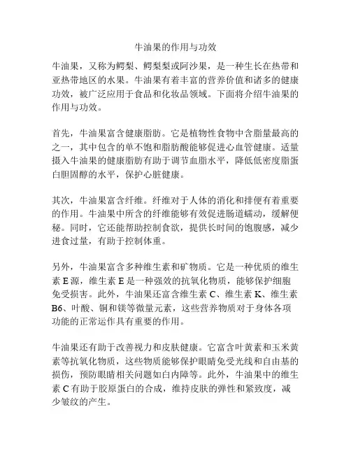 牛油果的作用与功效