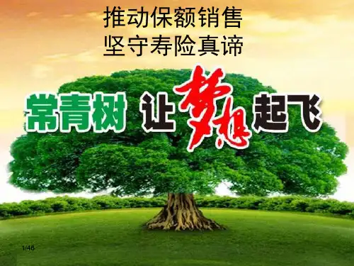 保额销售-常青树销售技巧训练(第二天)