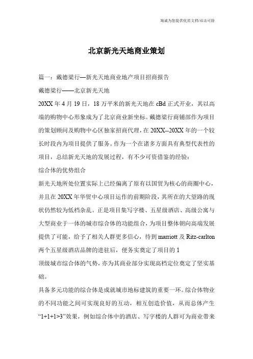北京新光天地商业策划