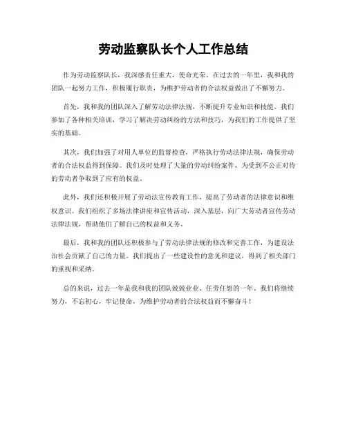 劳动监察队长个人工作总结