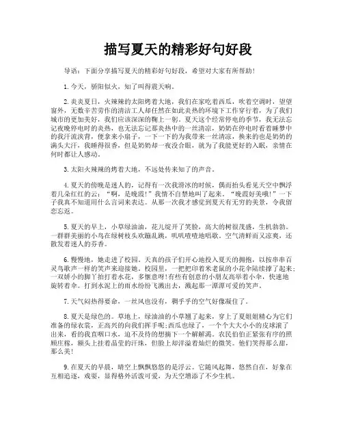 描写夏天的精彩好句好段