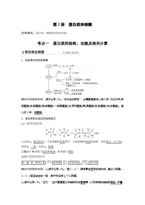 2022新高考 一轮复习 人教版 蛋白质和核酸 教案