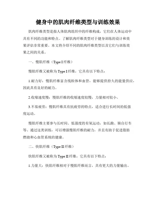 健身中的肌肉纤维类型与训练效果