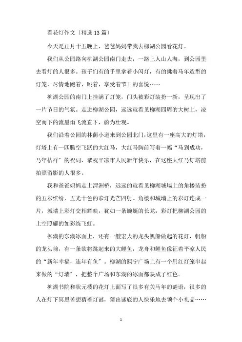 最新看花灯作文(精选13篇)