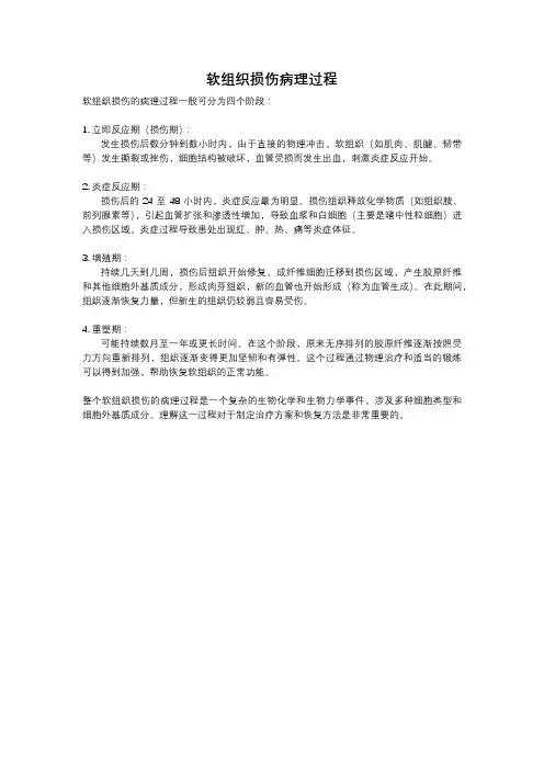 软组织损伤病理过程