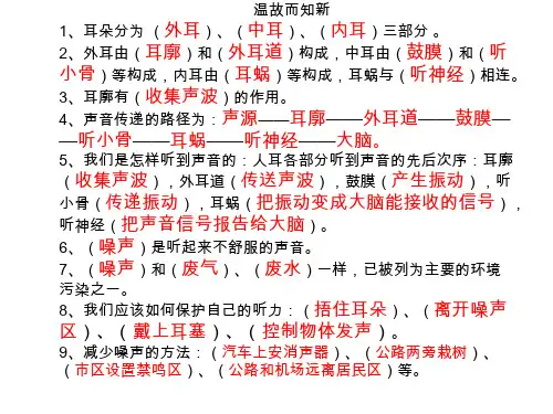 四年级上册科学课件-不同的声音   苏教版
