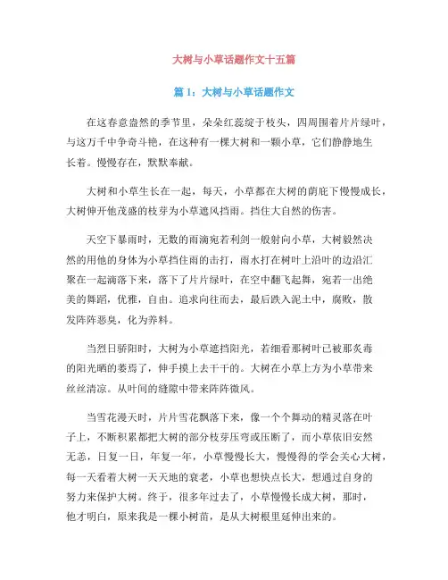 大树与小草话题作文十五篇
