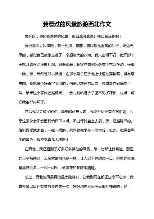 我看过的风景旅游西北作文