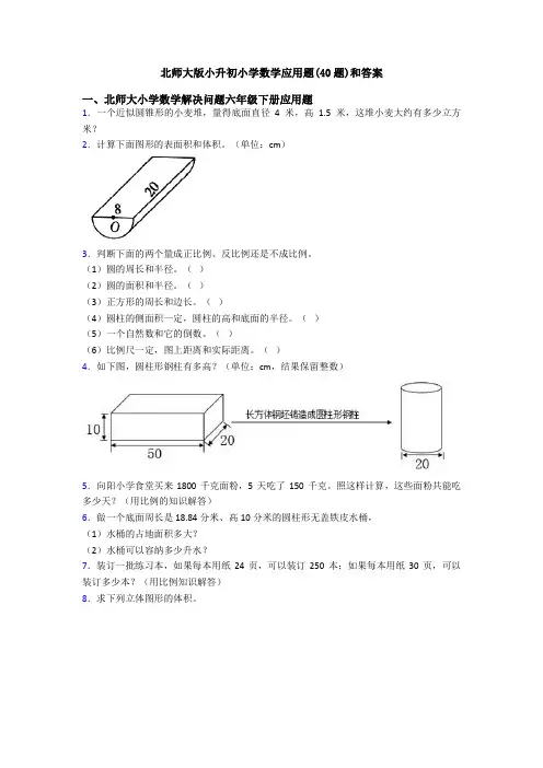 北师大版小升初小学数学应用题(40题)和答案
