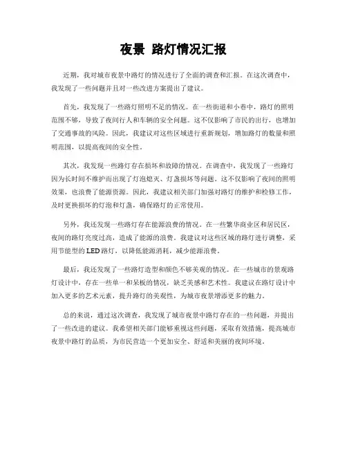 夜景 路灯情况汇报