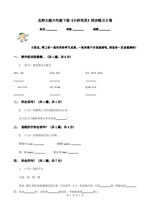 北师大版六年级下册《小抄写员》同步练习D卷