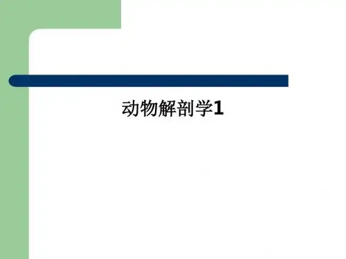[医学]动物解剖学1